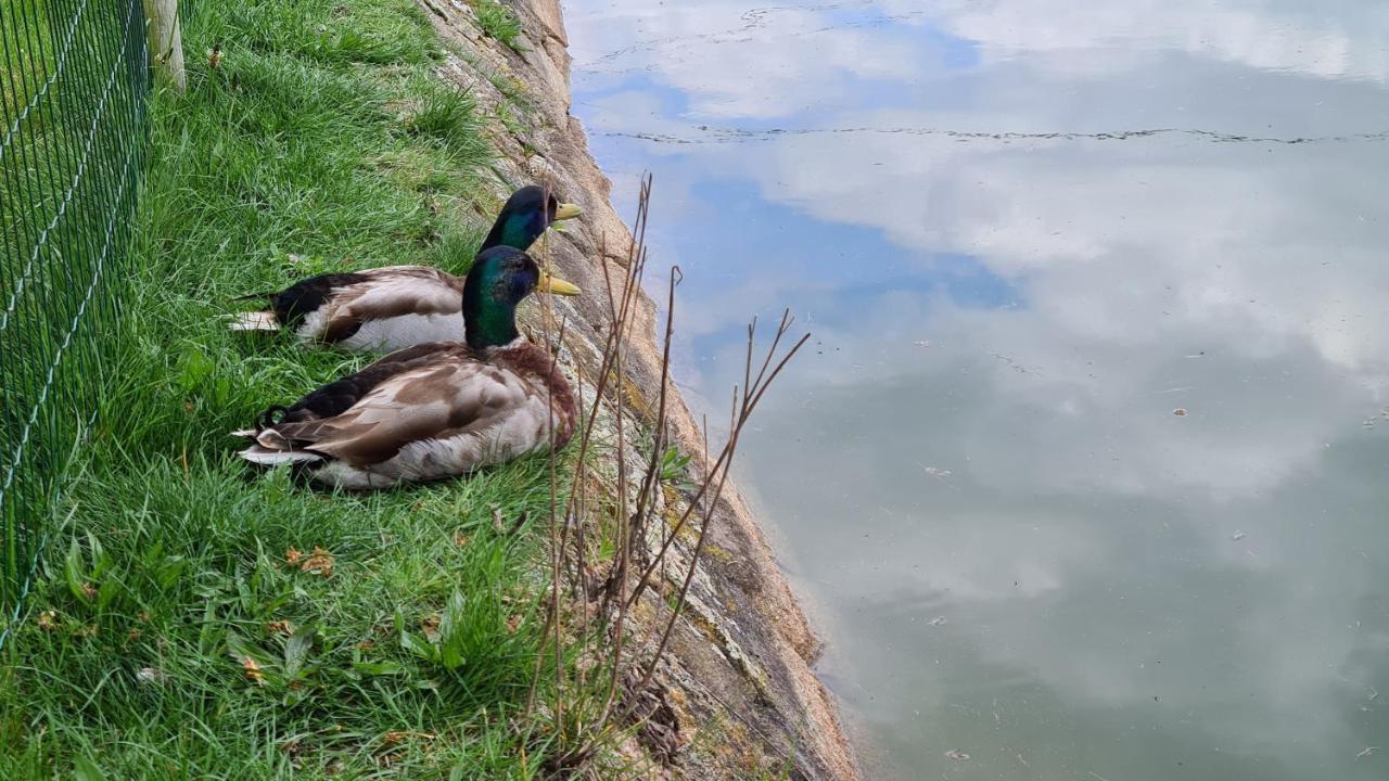 Quinta De Santo Estevao Hotel Rural Агіа́р-да-Бе́йра Екстер'єр фото